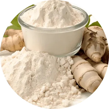 Chicory Root Inulin